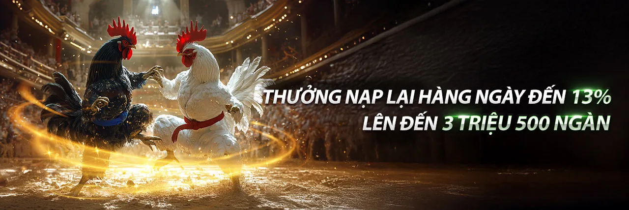 Hình ảnh tổng quan về nền tảng cá cược thể thao Kufun trang chủ